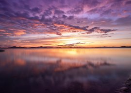Davidpaul Photography